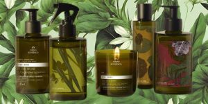 Bothânica, a nova coleção da Natura voltada ao bem-estar em casa