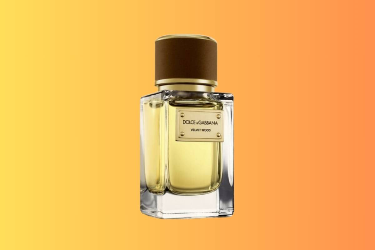 Velvet Wood - Dolce & Gabbana
