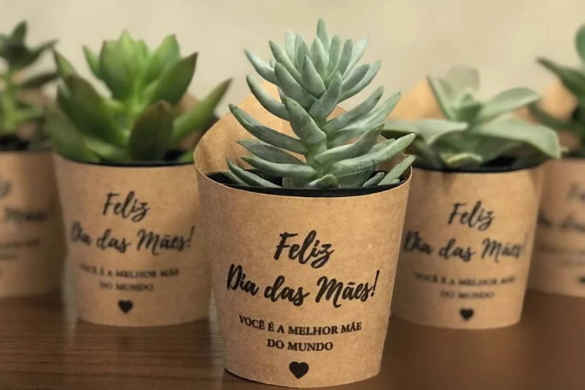 Lembrancinha Dia das Mães - Mini Suculenta