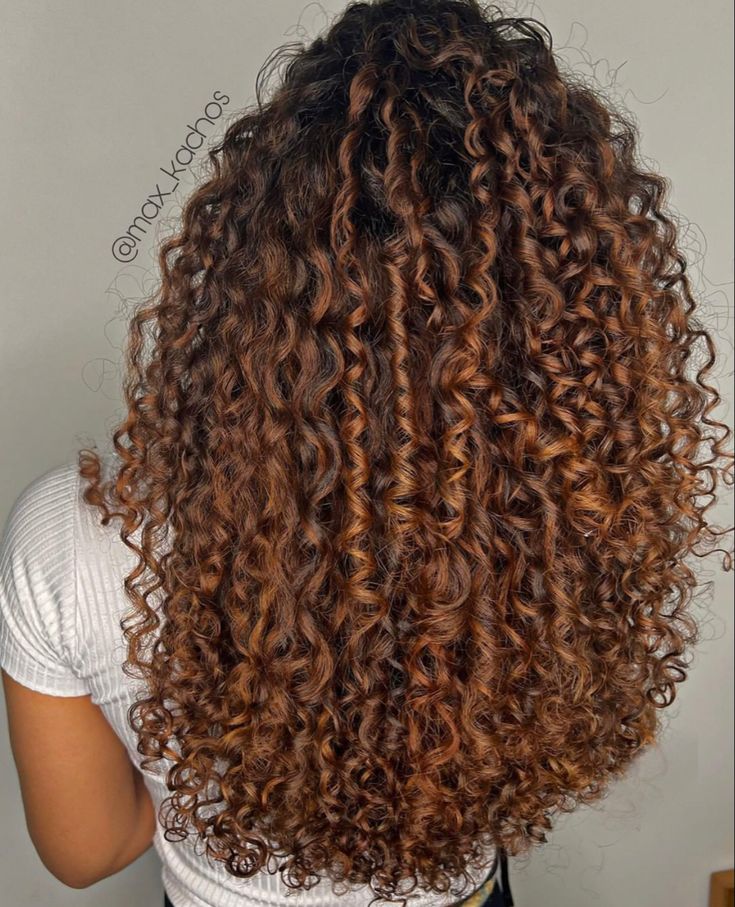 cabelo chocolate mel (1)