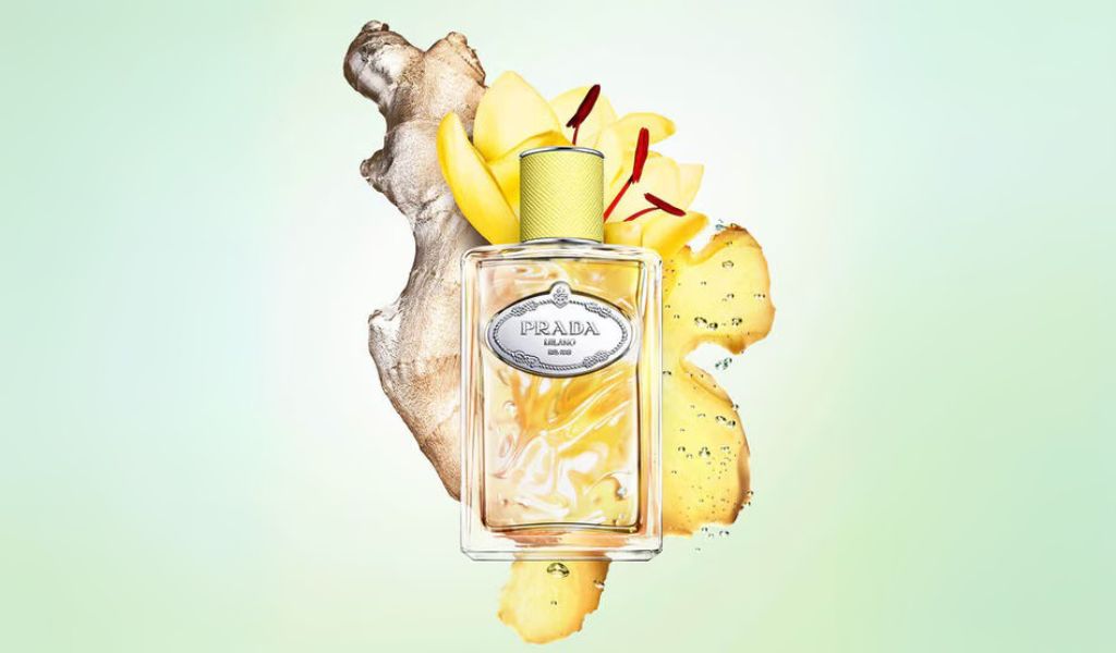 Infusion de Gingembre Prada perfumes caros