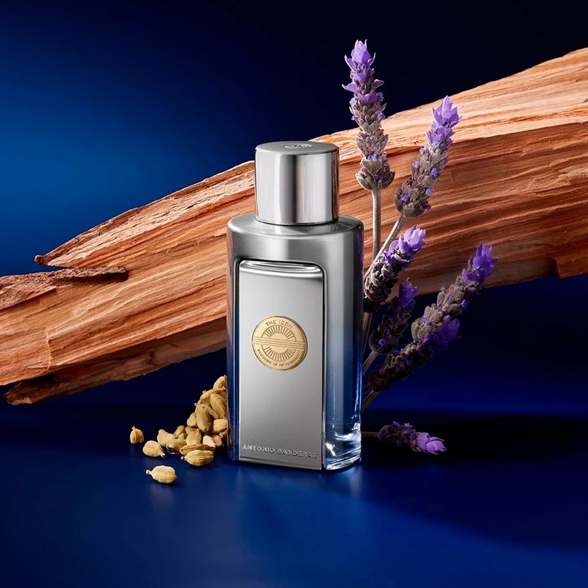 antonio banderas the icon elixir