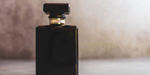 contratipo a men pure havana