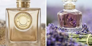 Perfumes importados com fragrância de Lavanda