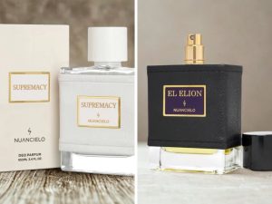 TOP 5 perfumes masculinos da Nuancielo