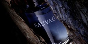 Perfumes similares ao Sauvage da Dior